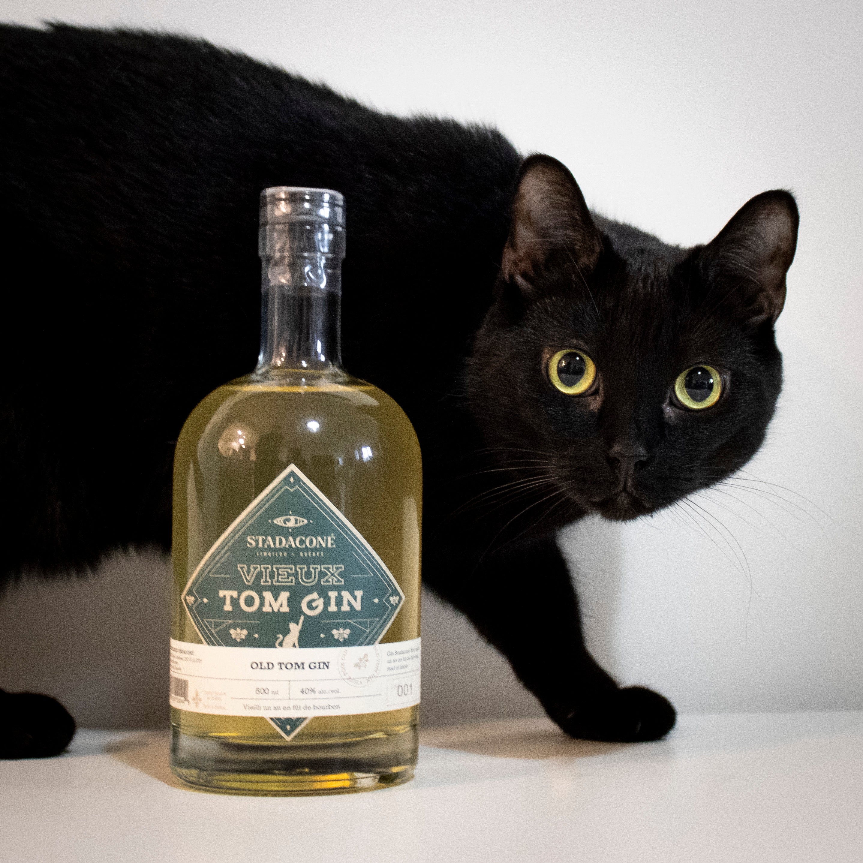 Old Tom Gin: Developing the Purrfect packaging